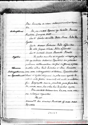 Fotogramma E 9