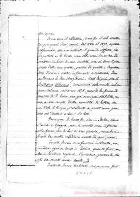 Fotogramma C 1