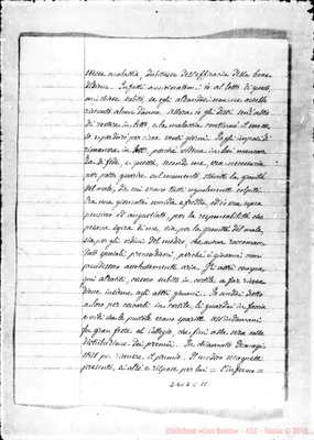 Fotogramma C 11