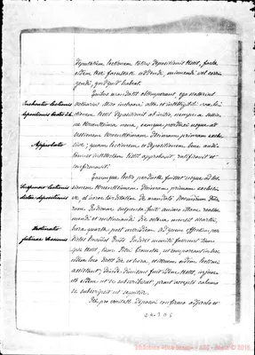 Fotogramma D 5