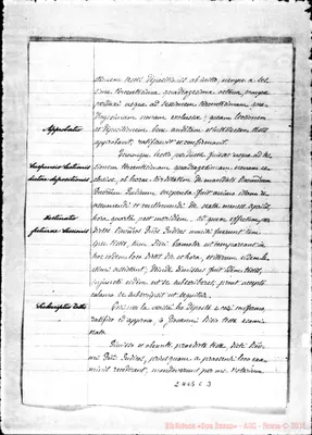 Fotogramma C 3