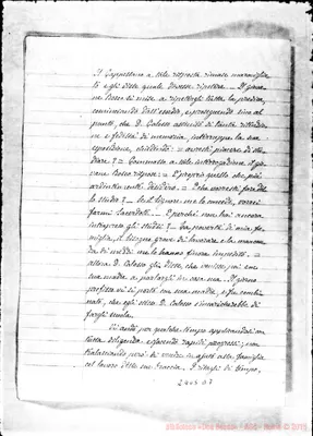 Fotogramma D 7