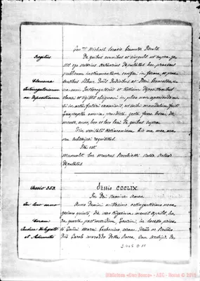 Fotogramma D 11