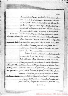Fotogramma D 12