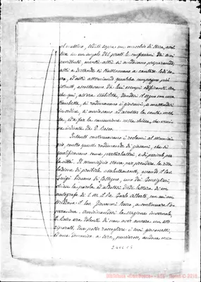 Fotogramma C 5