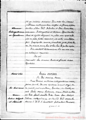 Fotogramma C 11