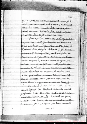 Fotogramma E 8