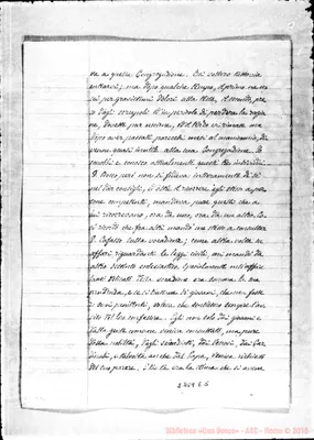 Fotogramma E 5