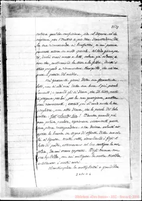 Fotogramma D 6