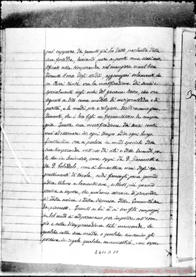 Fotogramma D 11