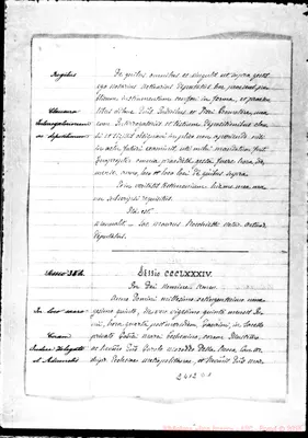 Fotogramma D 1