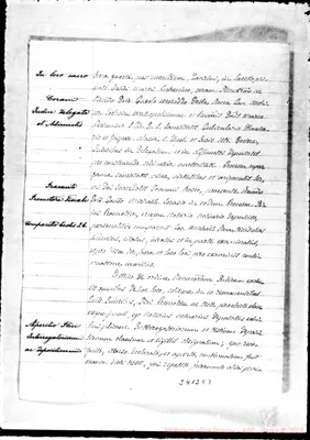 Fotogramma E 7