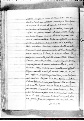 Fotogramma C 11