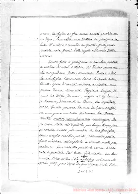 Fotogramma D 5
