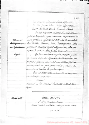 Fotogramma C 8