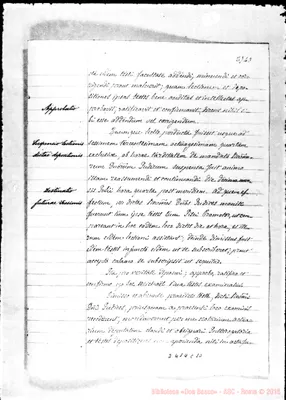 Fotogramma C 10