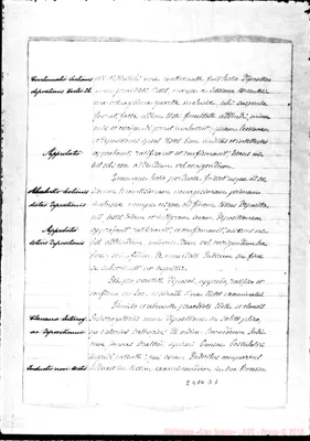 Fotogramma D 1