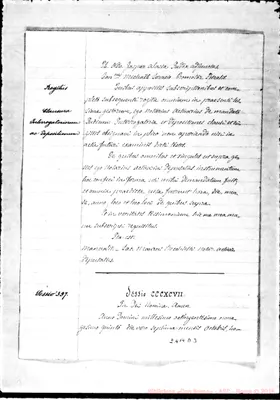Fotogramma D 3