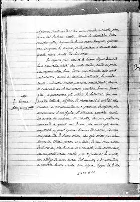 Fotogramma D 11