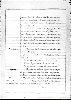 Fotogramma C 3