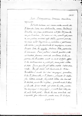 Fotogramma D 10