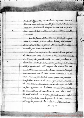 Fotogramma D 11