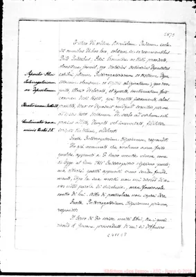 Fotogramma E 8