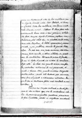 Fotogramma D 1