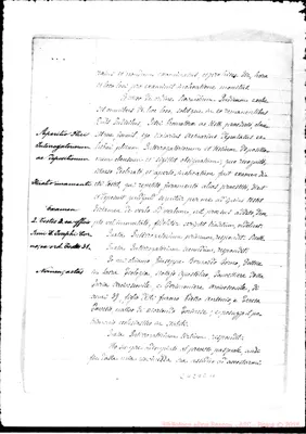 Fotogramma E 11