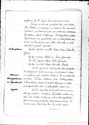 Fotogramma D 11