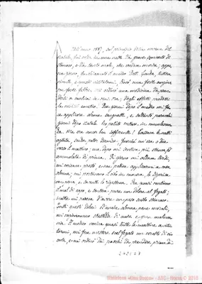 Fotogramma E 7