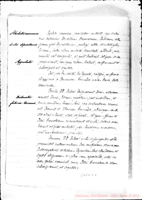 Fotogramma D 5