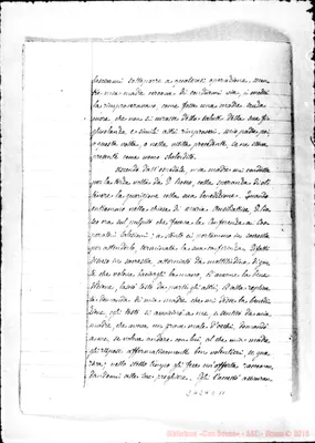 Fotogramma D 11