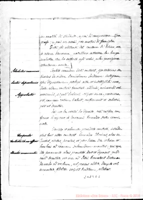 Fotogramma E 1