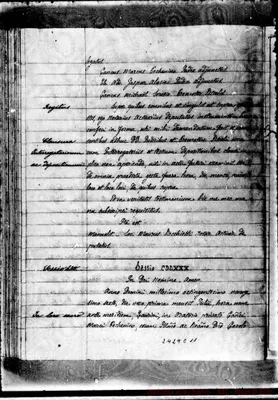 Fotogramma E 11