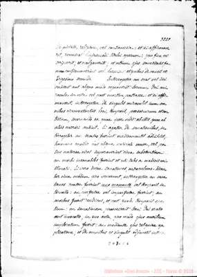 Fotogramma C 6