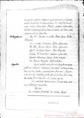Fotogramma D 11