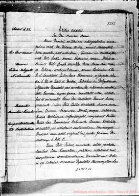 Fotogramma E 10