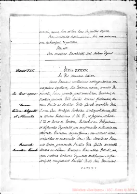 Fotogramma D 9