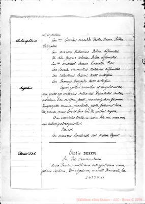 Fotogramma D 11