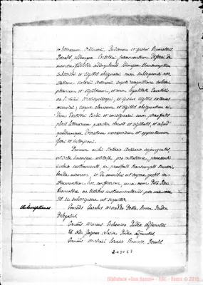 Fotogramma E 7