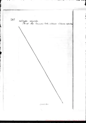 Fotogramma B 6