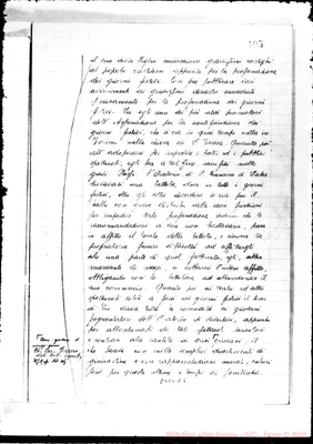 Fotogramma D 5