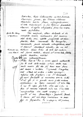 Fotogramma B 5