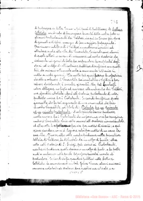 Fotogramma C 8