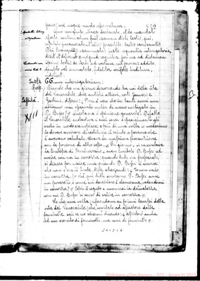 Fotogramma C 6