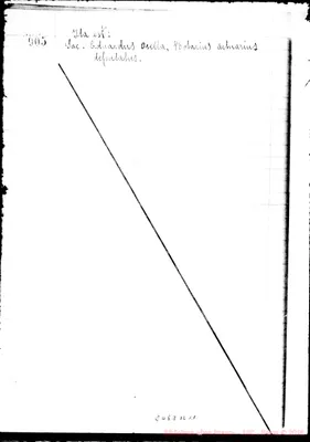 Fotogramma B 11
