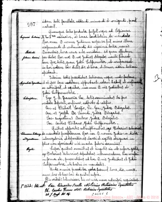 Fotogramma C 1