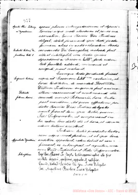 Fotogramma C 11