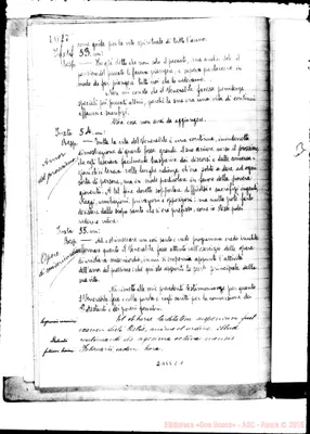 Fotogramma C 1